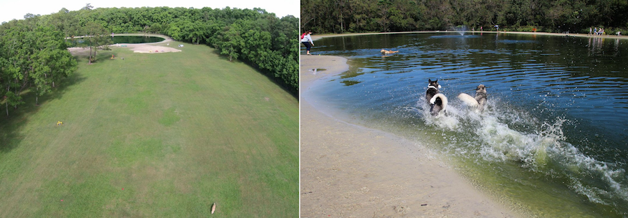 끝이 보이지 않는 들판 달리기는 물론 반려견과 함께 호수에서 물놀이도 즐길 수 있는 플로리다의 도그 우드 파크.